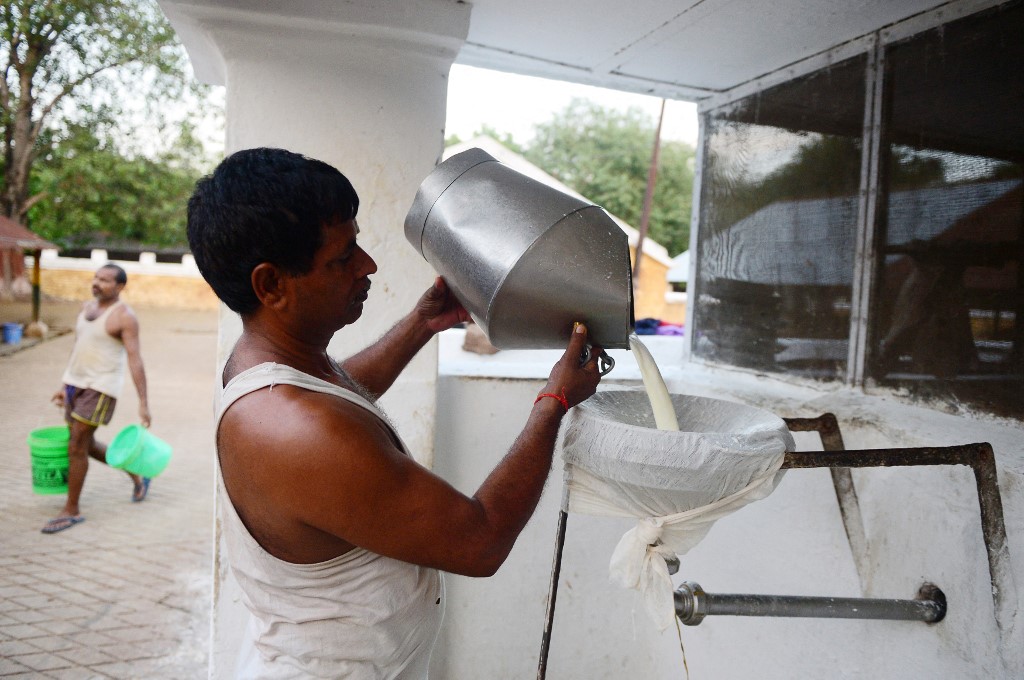 INDIA-ANIMAL-ARMY-DAIRY